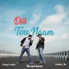 About Dill Tere Naam Song